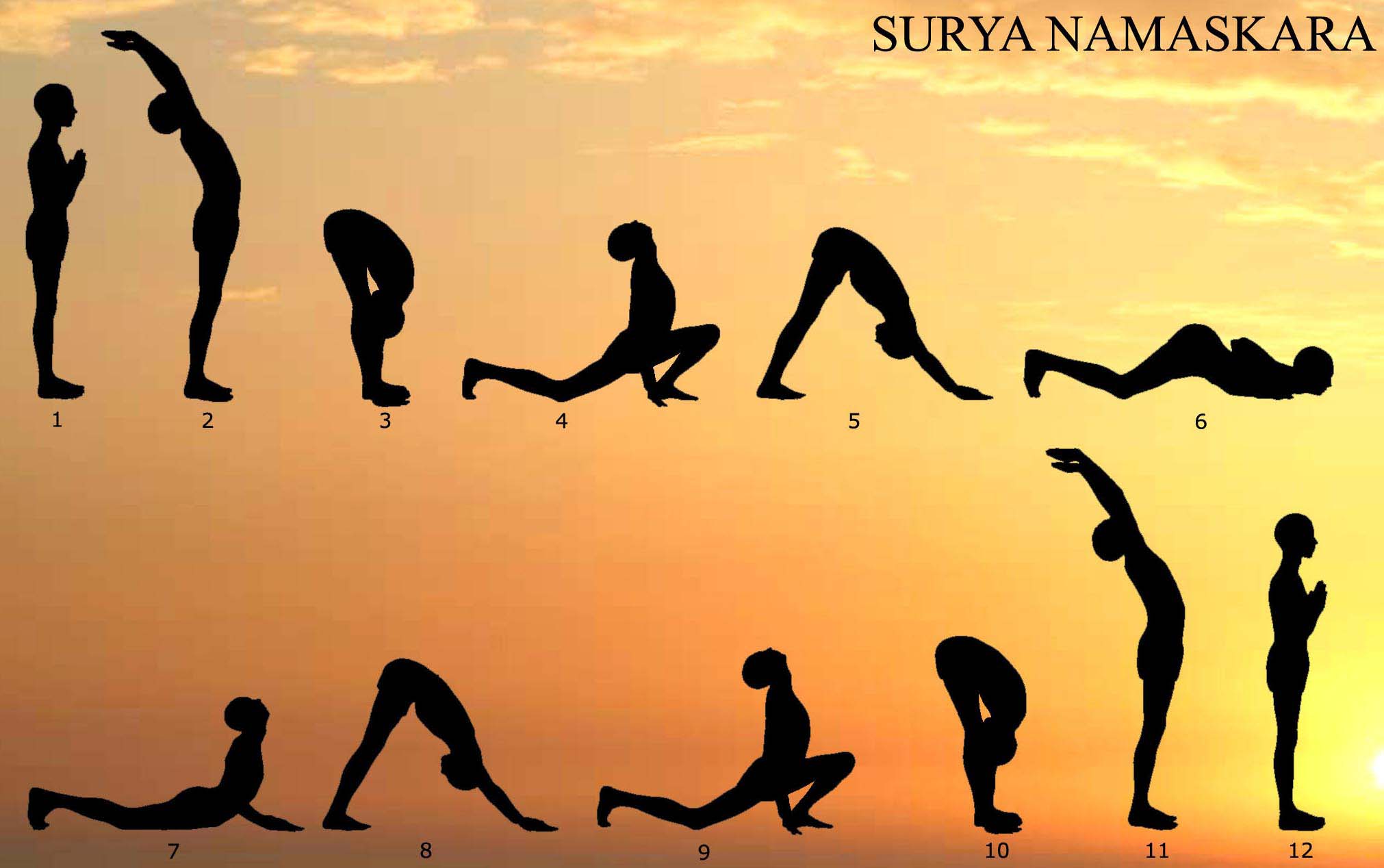 Sun Salutation